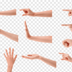 Hand PNG