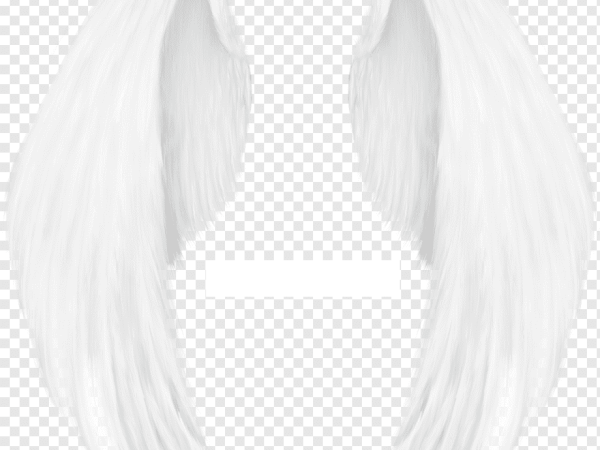 Angel Wings World Zero Png