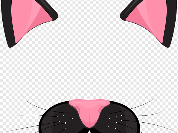 Cat Ears PNG