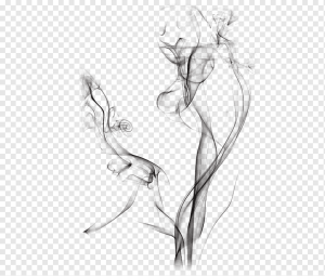 Smoke PNG 2
