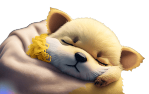 Sleeping Pikachu PNG