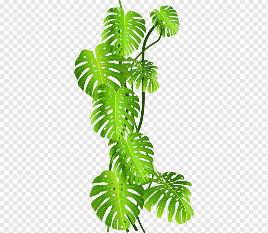 tropical leaf PNG Download